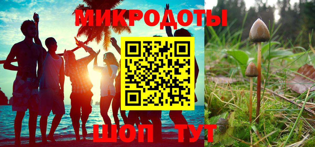 что такое   Вход с VPN  Псилоцибиновые грибы мицелий  Магнитогорск  Псилоцибиновые грибы ЛСД 