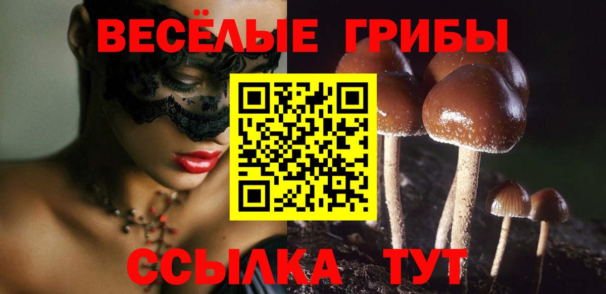 Псилоцибиновые грибы прущие грибы Магнитогорск